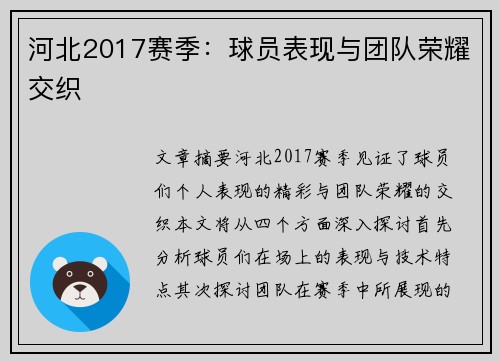 河北2017赛季：球员表现与团队荣耀交织