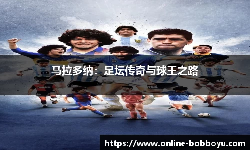 bob博鱼体育官网